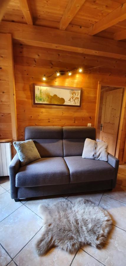 Bienvenue Dans Notre Chalet! Appartement Les Sitelles Le Grand-Bornand Exterior foto